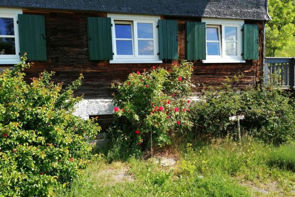 Allgaeu Apartment Rose Im Og Grunenbach Eksteriør bilde